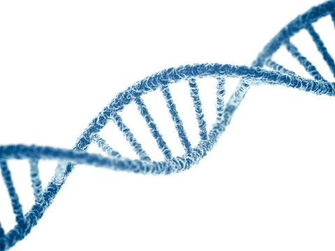Pharmacogenetic Tests